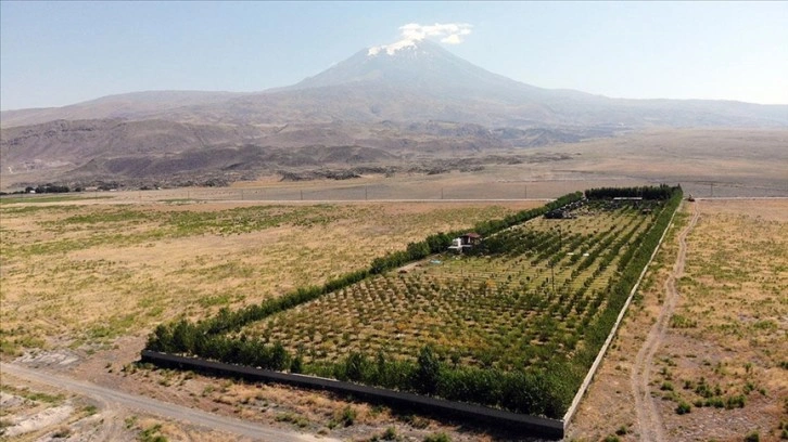 Çorak araziye kurduğu meyve bahçesiyle turizme de hizmet etmek istiyor