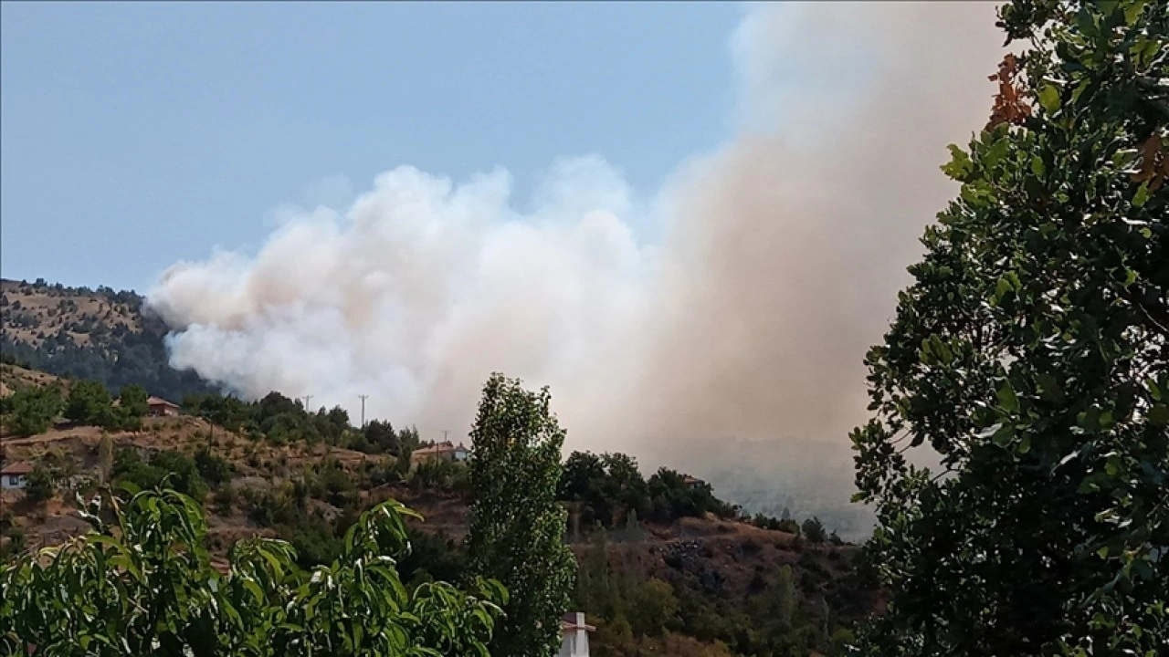 Çorum ve Malatya'da çıkan orman yangınlarına müdahale ediliyor