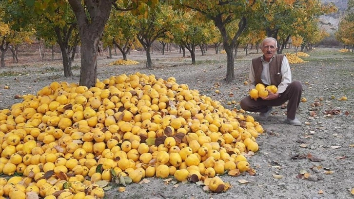 Çorum'un