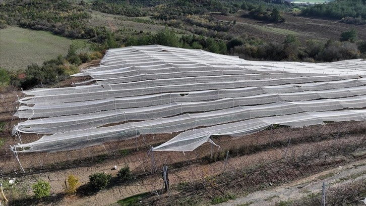 Çukurova’da tarımsal üretime 