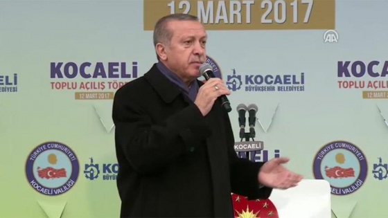 Cumhurbaşkanı Erdoğan'dan Hollanda'ya yaptırım çağrısı