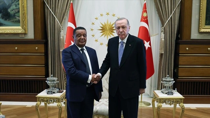 Cumhurbaşkanı Erdoğan, Etiyopya eski Cumhurbaşkanı Wirtu'yu kabul etti