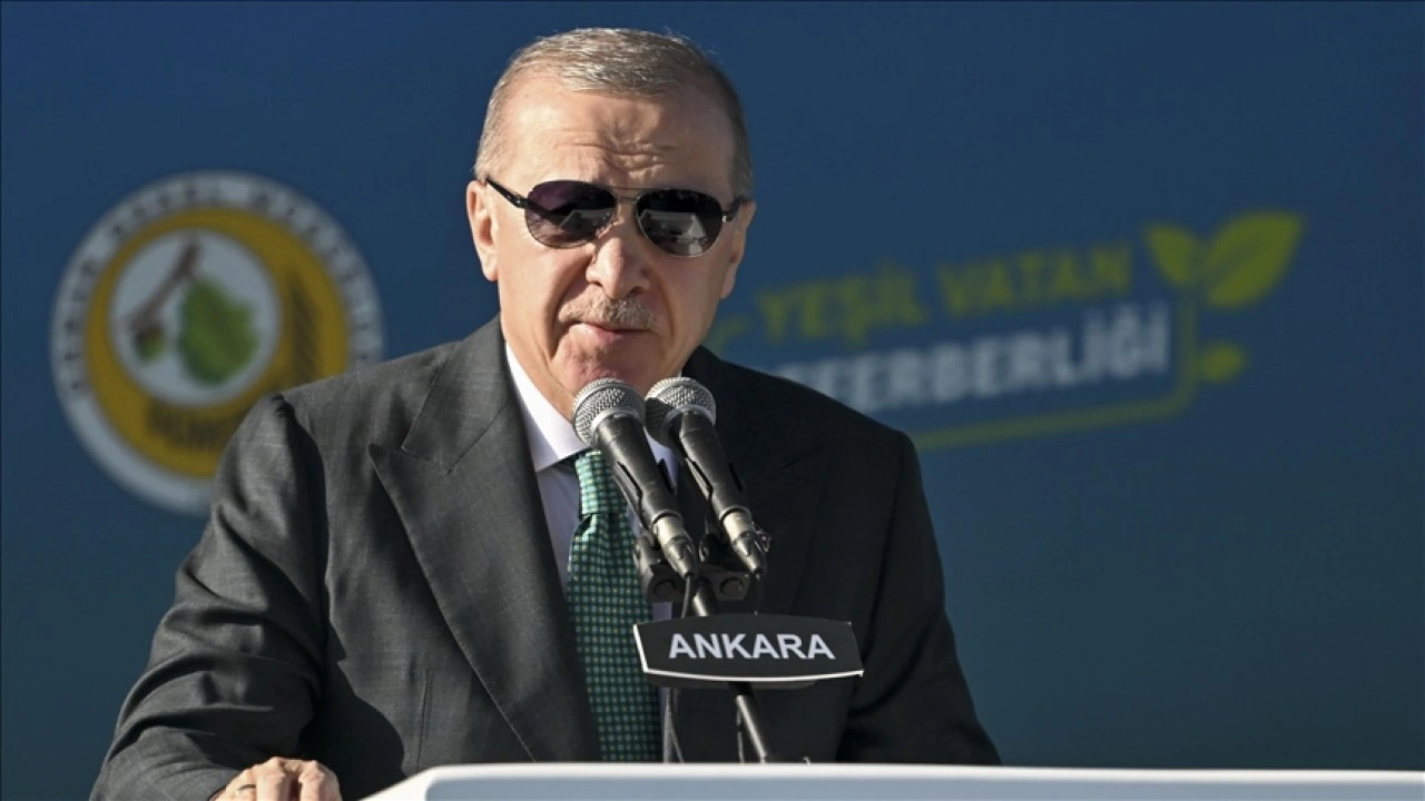 Cumhurbaşkanı Erdoğan: Orman varlığımızı 23,4 milyon hektara çıkardık