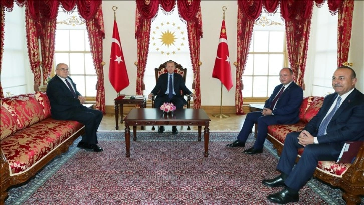Cumhurbaşkanı Erdoğan, Polonya ve Romanya dışişleri bakanlarını kabul etti