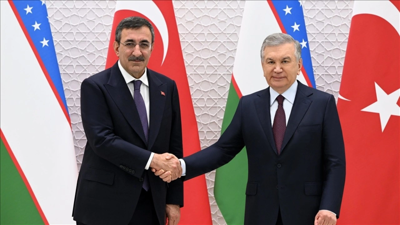 Cumhurbaşkanı Yardımcısı Yılmaz, Özbekistan Cumhurbaşkanı Mirziyoyev tarafından kabul edildi
