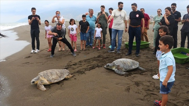 Deniz kaplumbağaları 'Mavi' ve 'Deniz' tedavi edilip mavi sulara uğurlandı