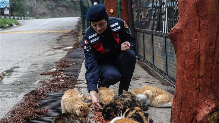 Depremde 4 kardeşini kaybeden kadın astsubay 