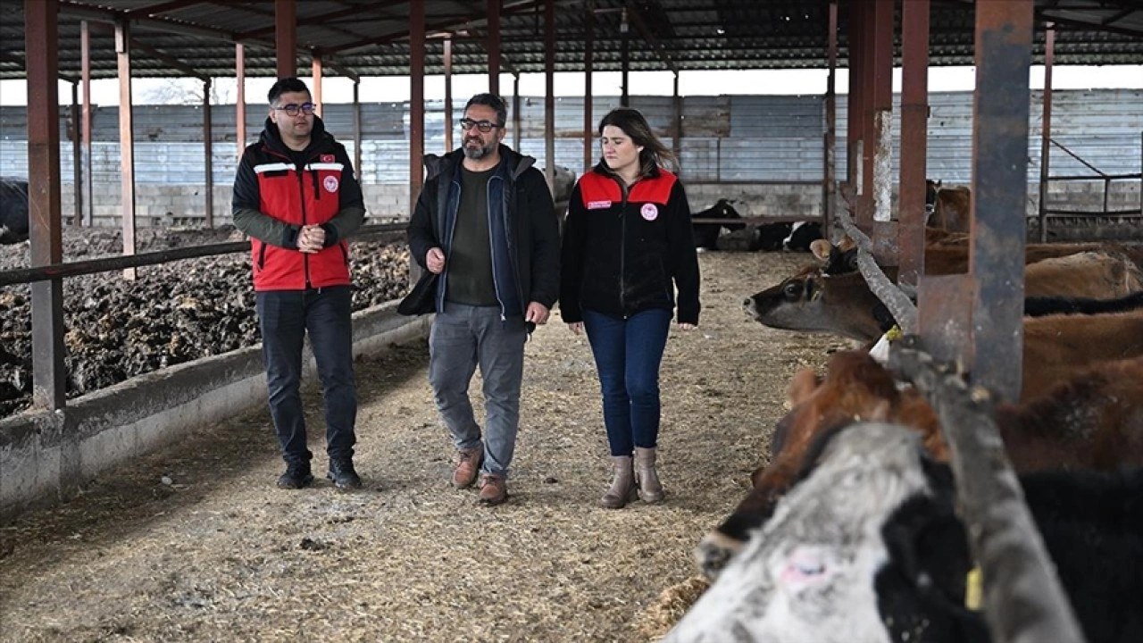 Depremzede besici, devlet desteğiyle hayvan sayısını katladı