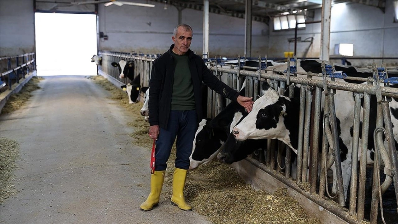 Devlet desteğiyle kurduğu işletmesinde günlük 1 ton süt elde ediyor