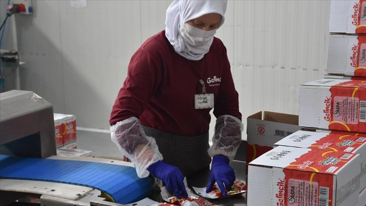 Devlet desteğiyle üretim kapasitesini artıran şirket, leblebi kremasını yurt dışına gönderiyor