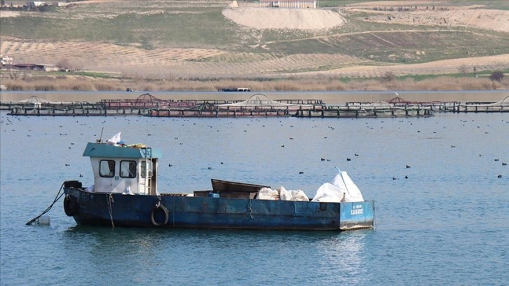 Devlet desteğiyle üretimini artırdı, Şanlıurfa'dan Rusya'ya balık ihracatına başladı
