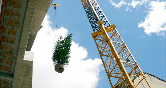 ‘Dikey Orman’ın ilk ağacı 40 metre yüksekliğe dikildi