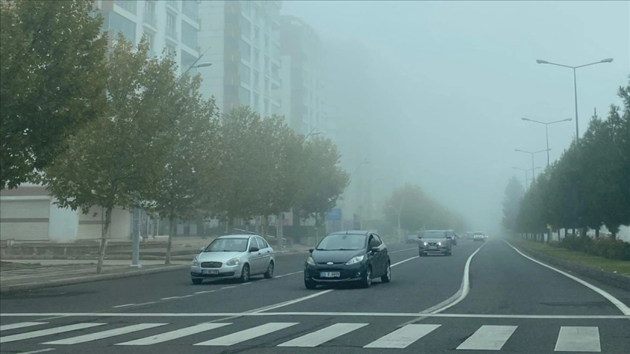 Diyarbakır'da sis etkili oldu