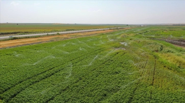 Diyarbakır'da 1,2 milyon dekar arazide modern sulama sistemi kullanılıyor