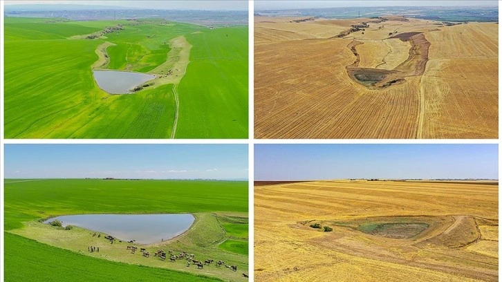 Diyarbakır'da kuraklıktan etkilenen onlarca gölet kurudu
