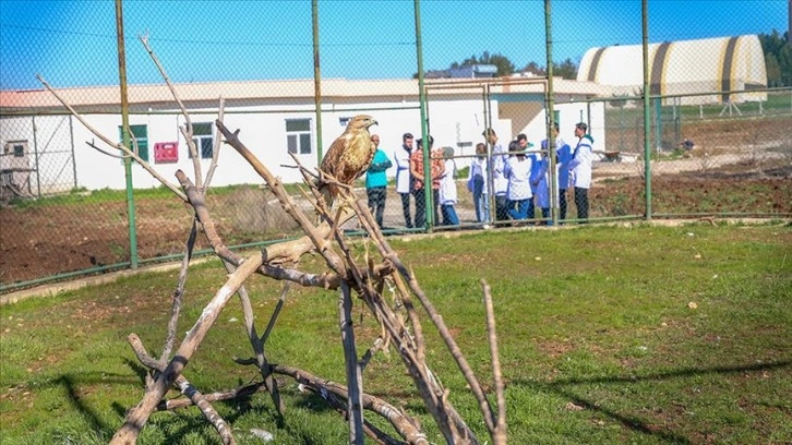 Diyarbakır'da veteriner hekim adayları yaban hayvanlarının tedavisini uygulamalı öğreniyor