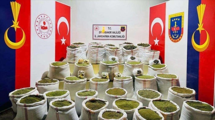 Diyarbakır'daki Eren Abluka Sonbahar-Kış-3 Operasyonu'nda 350 bin kök kenevir ele geçirildi