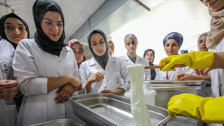 Diyarbakırlı kadınlar İtalyanların dünyaca ünlü mozzarella peynirini üretecek