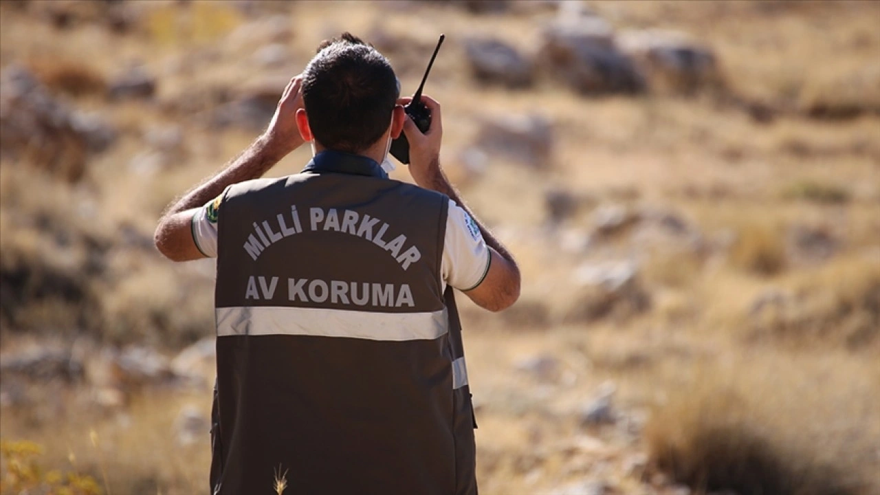 Doğa Koruma ve Milli Parklar Genel Müdürlüğü 240 sözleşmeli personel alacak