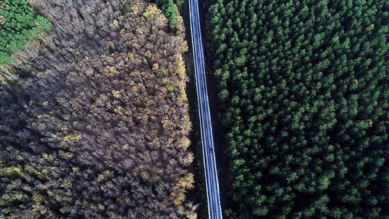 Doğa turizminin gözdesi Kırklareli sonbaharda görsel şölen sunuyor