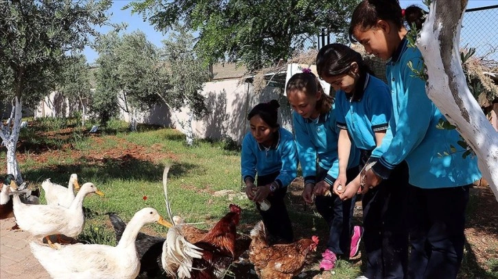 Doğa ve hayvan sevgisini uygulamalı öğreten okul enerjisini de güneşten alıyor