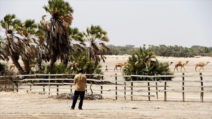 Doğu Afrika uzun süreli kuraklığın ardından ortalamanın üzerinde yağış bekliyor