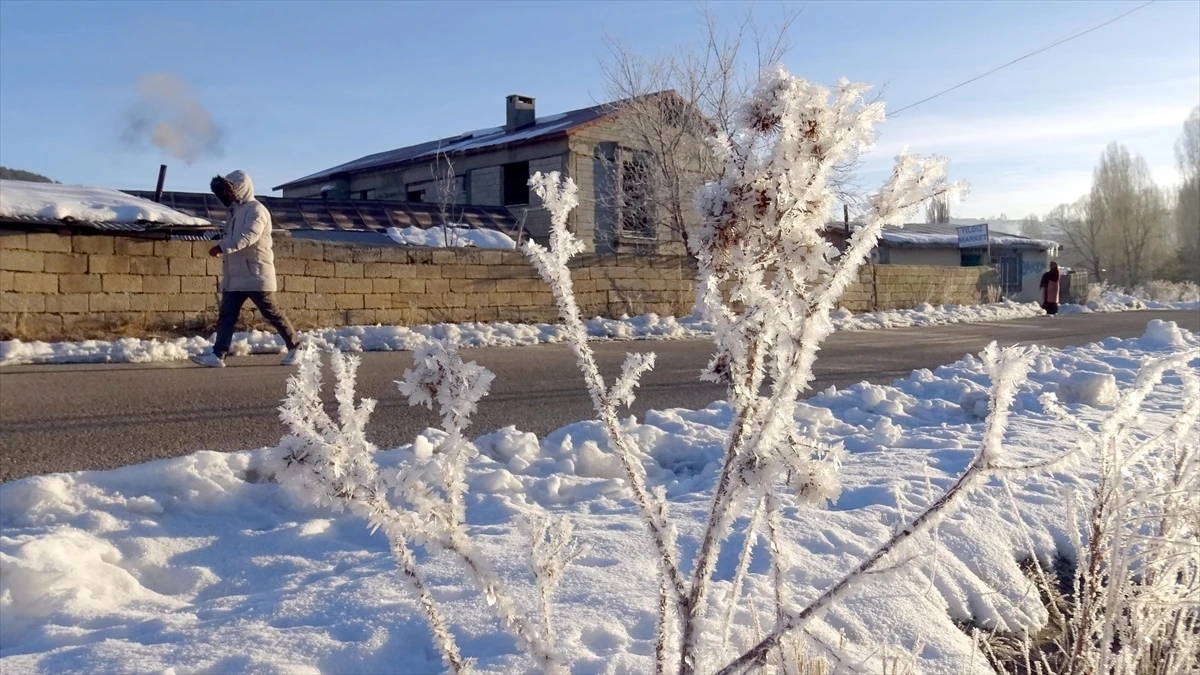 Doğu Anadolu'da dondurucu soğuklar hayatı olumsuz etkiliyor