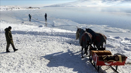 Doğu Anadolu'nun en büyük ikinci gölü dondu