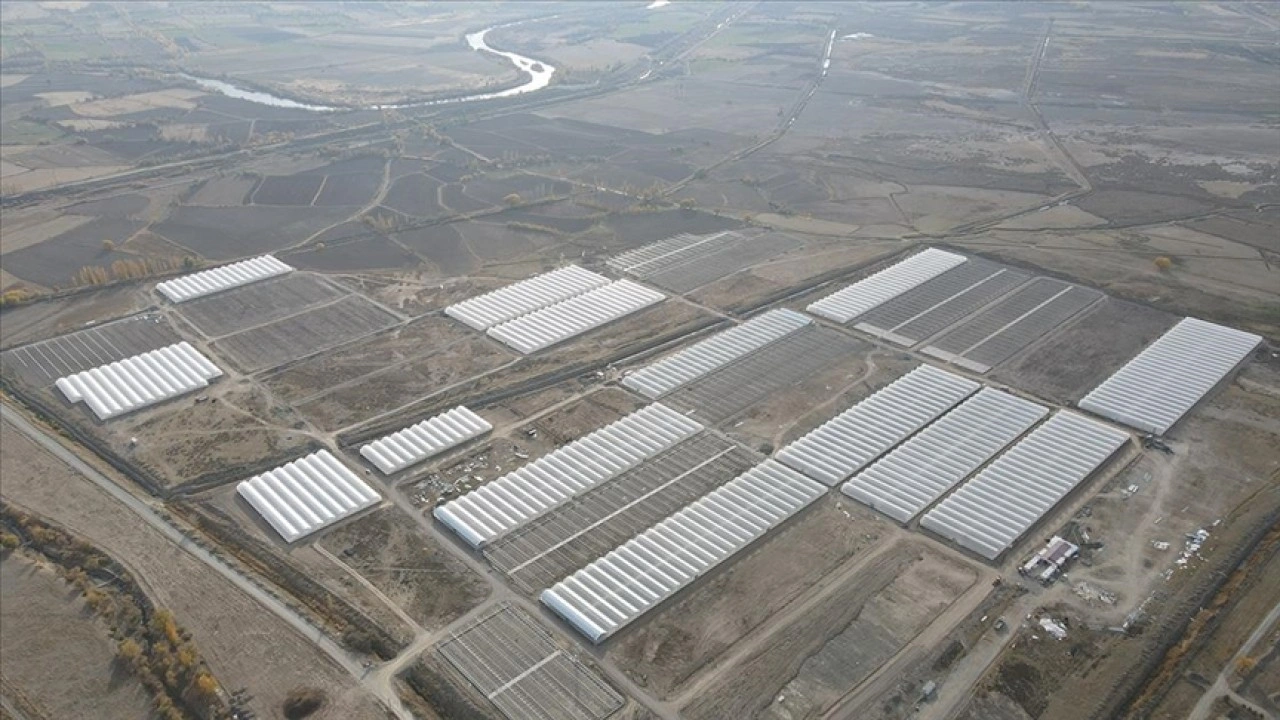 Doğu Anadolu'nun en büyük toplu sera alanı Erzincan'da kurulacak