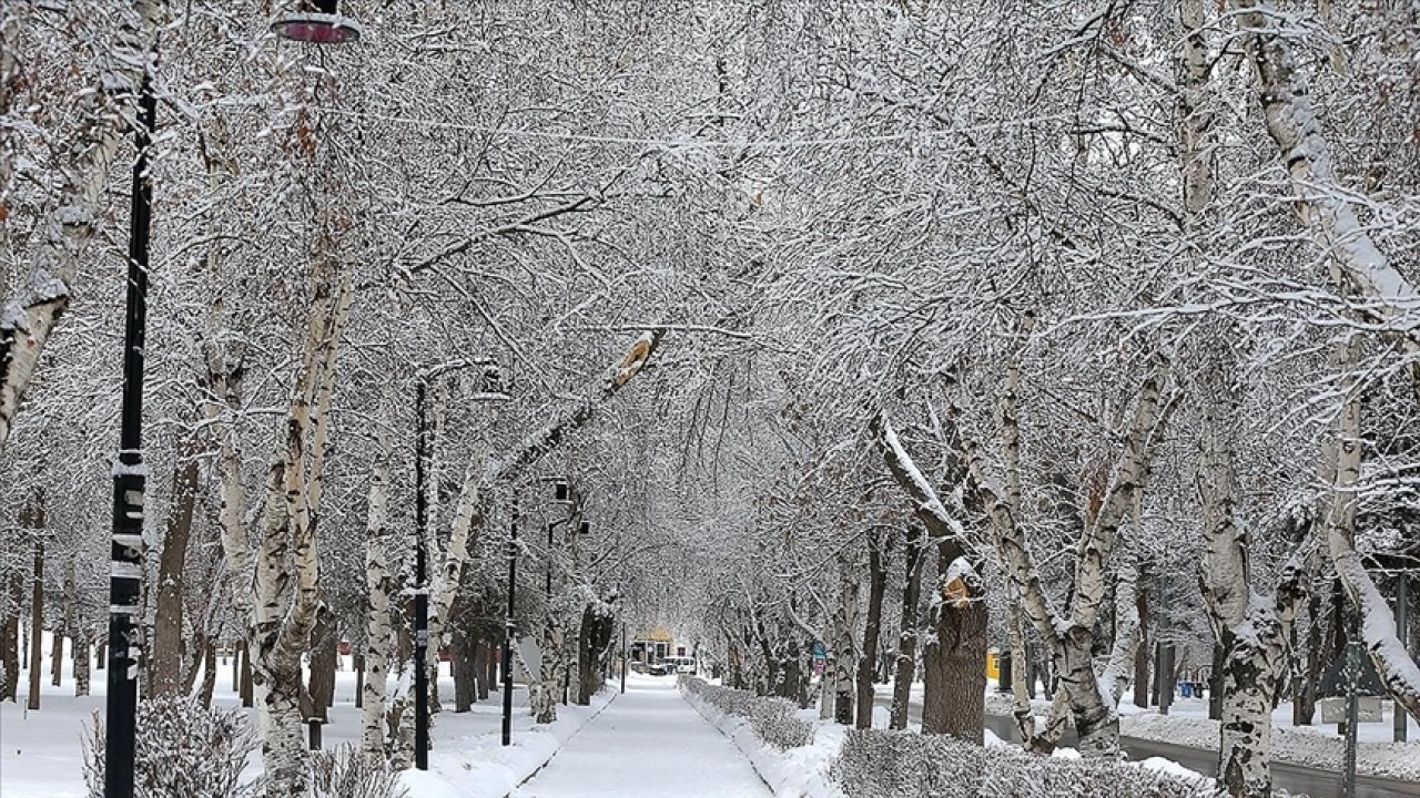 Doğuda kar yağışı etkilisini s&uuml;rd&uuml;r&uuml;yor
