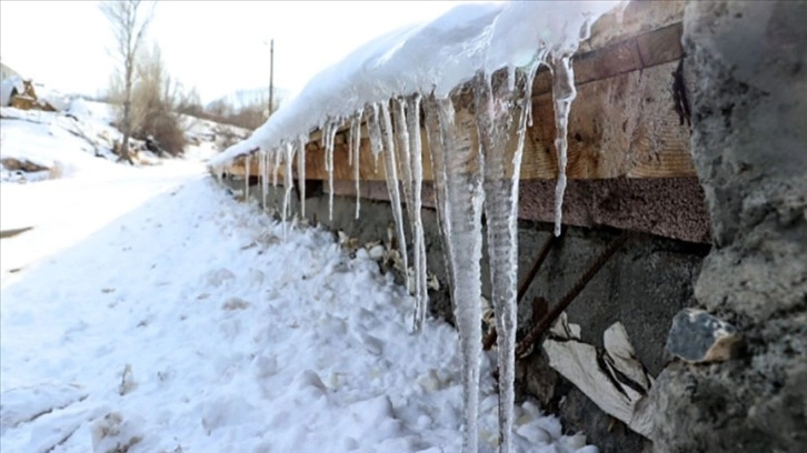 Doğu'da kar yağışı ve dondurucu soğuklar hayatı olumsuz etkiledi