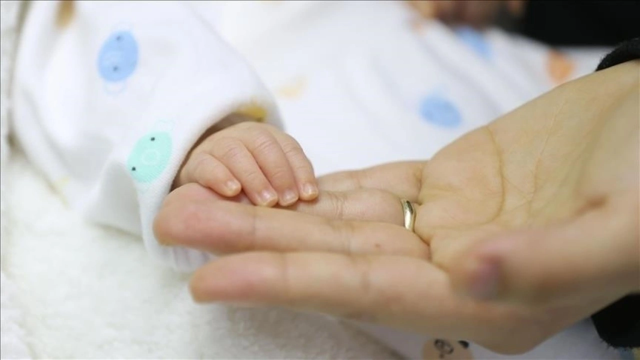 Doğurganlık hızındaki düşüş "toplumsal dönüşümün yansıması"