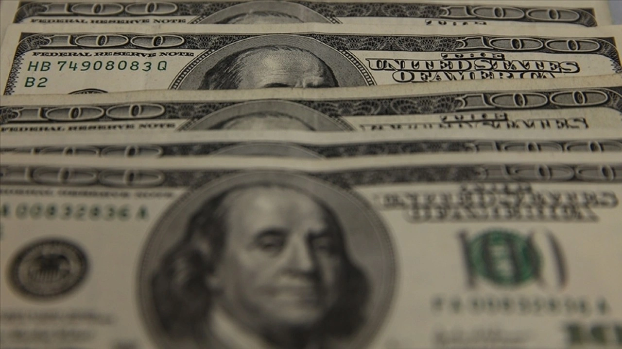 Doların küresel rezervlerdeki payı düşüyor