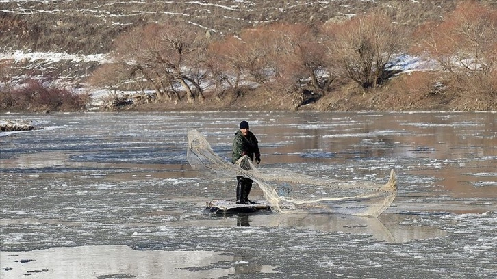 Dondurucu soğuğa rağmen nehirde buz parçaları arasında balık avlıyor