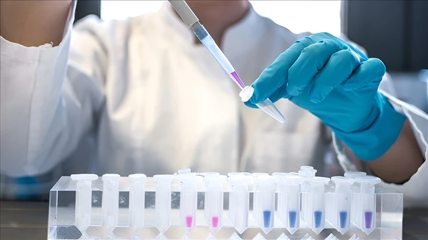 DSÖ, 2024'te 1,3 milyon kişinin AIDS hastalığına yakalandığını bildirdi