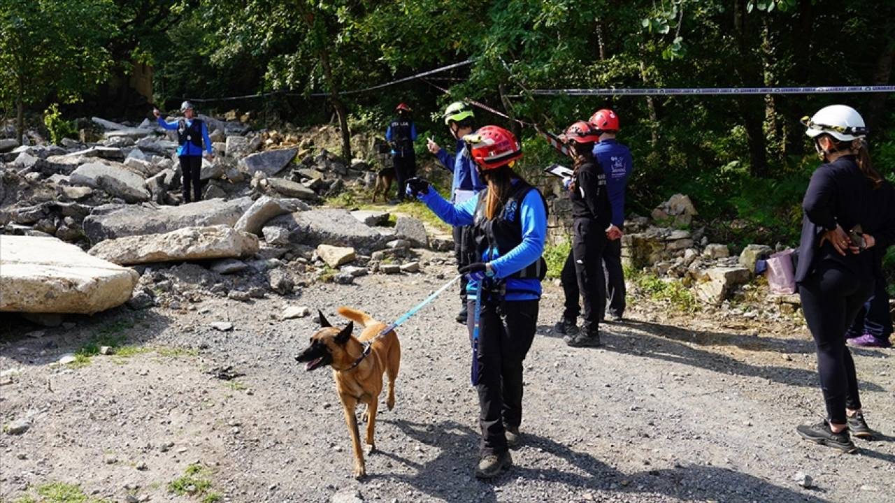 Dünya arama kurtarma köpekleri şampiyonası İstanbul'da yapıldı