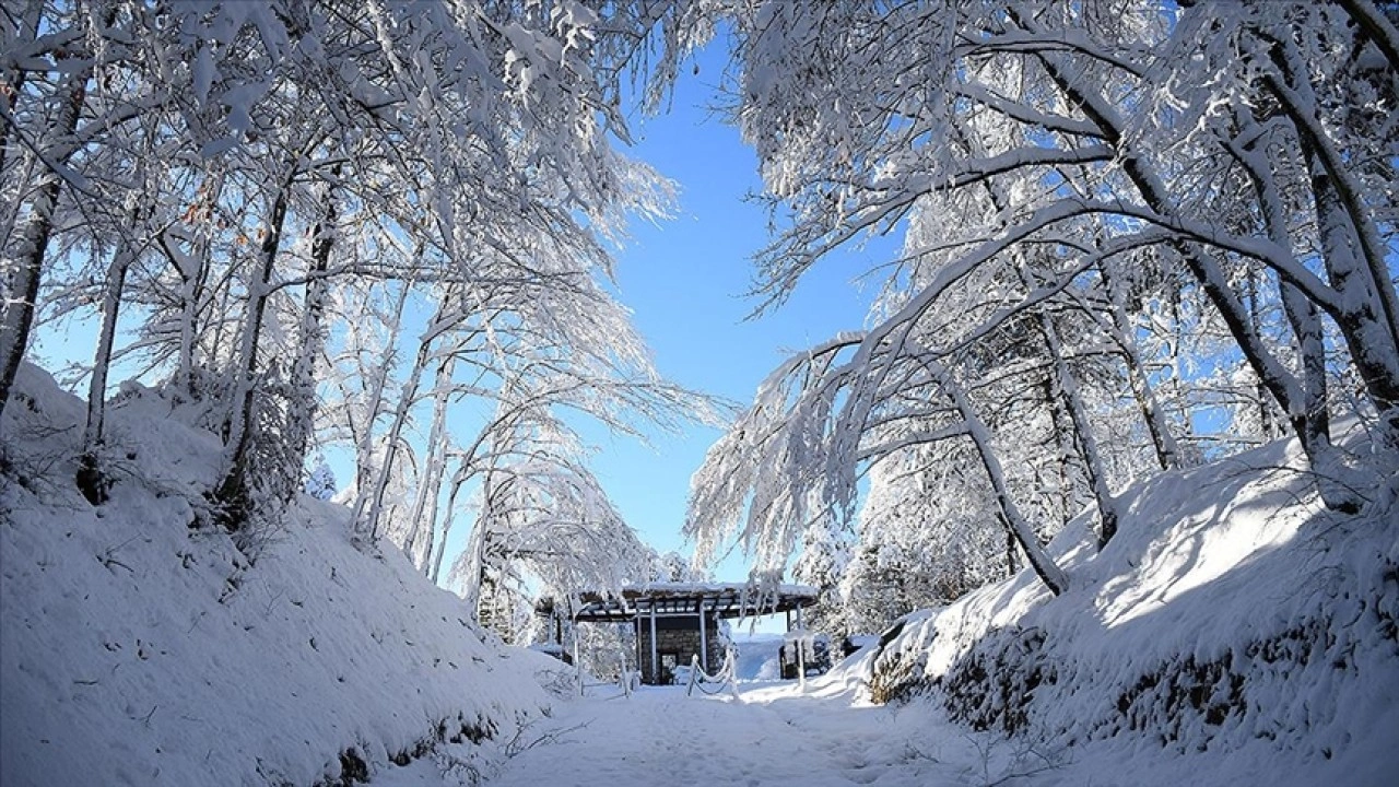 D&uuml;zce Korug&ouml;l Tabiat Parkı karla kaplandı