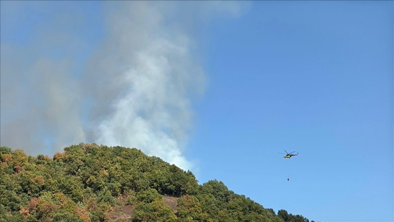 Düzce ve Bursa'da çıkan orman yangınlarına müdahale ediliyor