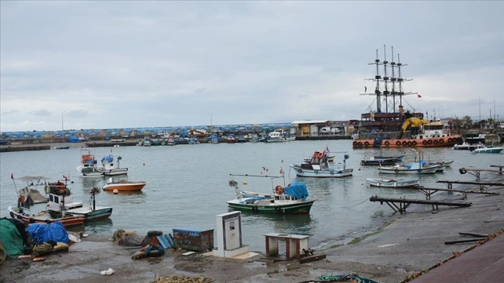 Düzce'de bereketiyle yüz güldüren palamut sezonu sona erdi