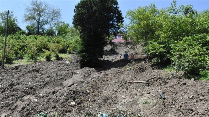 Düzce'deki sel felaketi fındık bahçelerine de zarar verdi