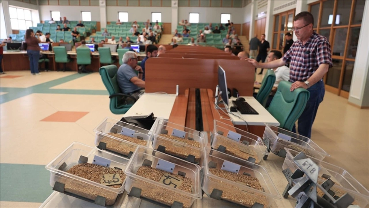 Edirne'de çiftçi ve tüccarlara ürün satışı "teknolojik sistemle" sunuluyor