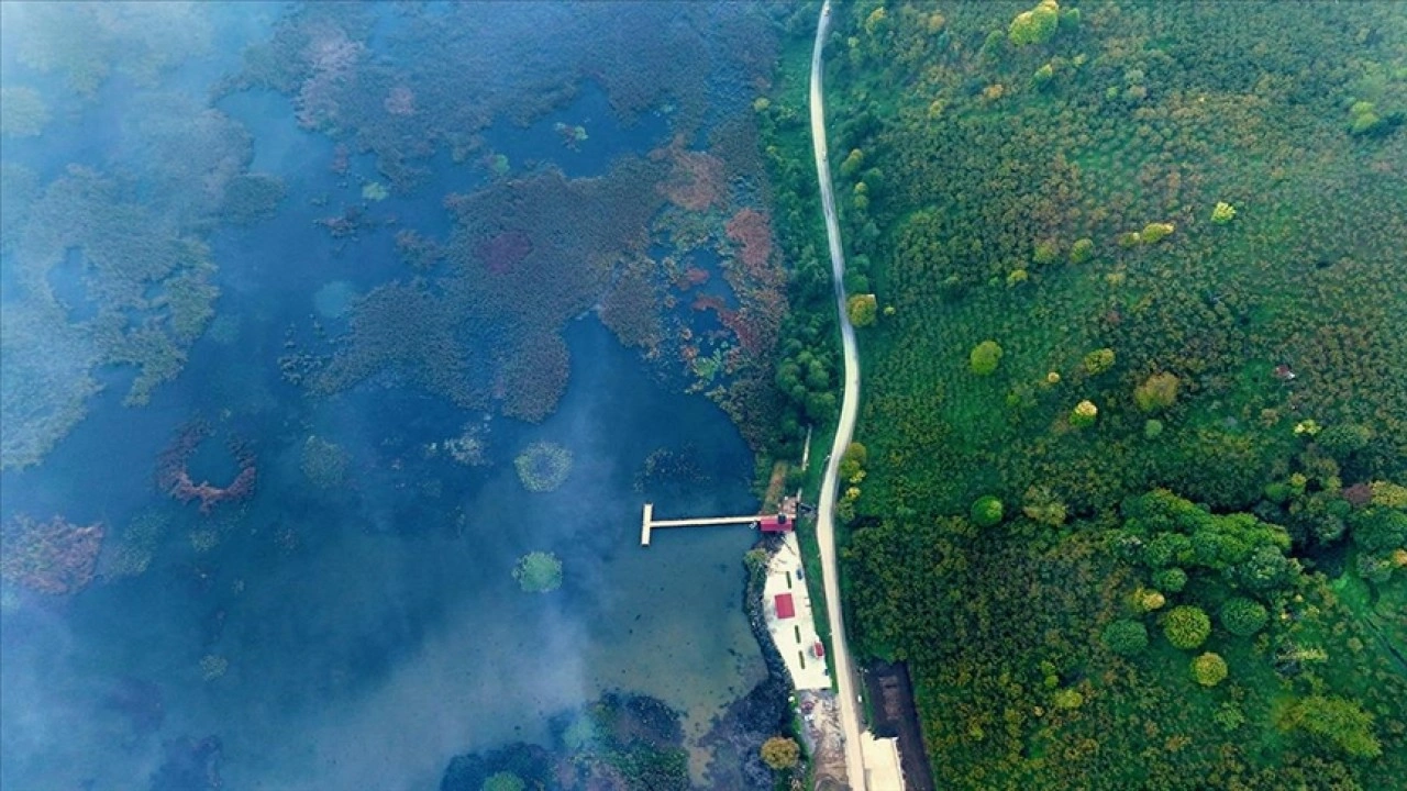 Efteni Kuş Cenneti'nde sonbahar renkleriyle sis ahenk oluşturdu