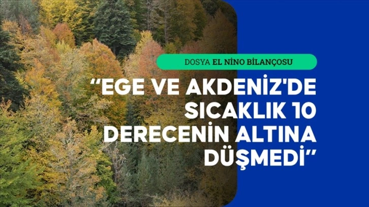 El Nino ağaçları kış uykusundan erken uyandırdı