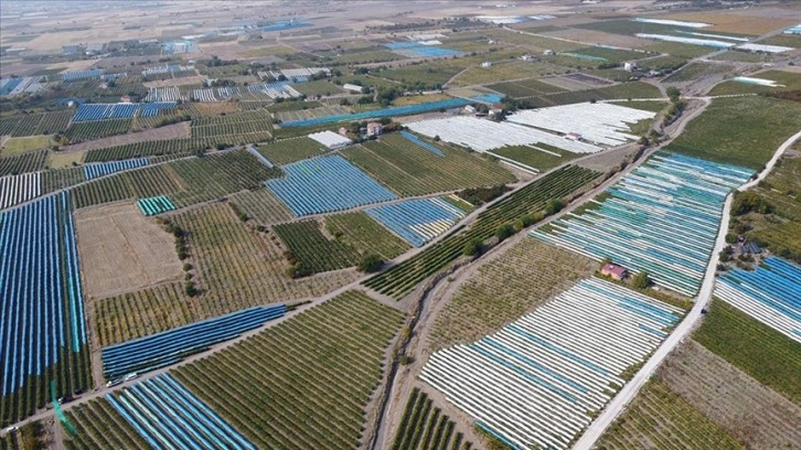 Elazığ'da üzüm bağları mavi beyaz örtüyle kaplandı