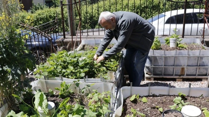 Emekli profesör sürdürülebilir tarımla evinin bahçesinde 