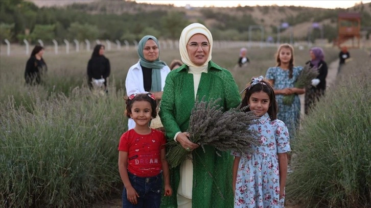 Emine Erdoğan, Ankara'da Ekolojik Köy ziyareti ve lavanta hasadı yaptı