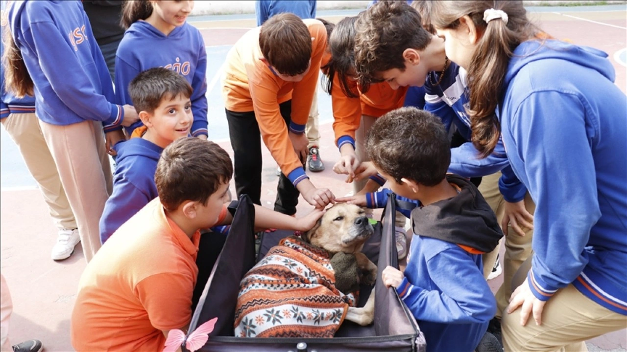 Engelli köpek "Kıvrık" hikayesiyle çocukların gönlüne dokunuyor
