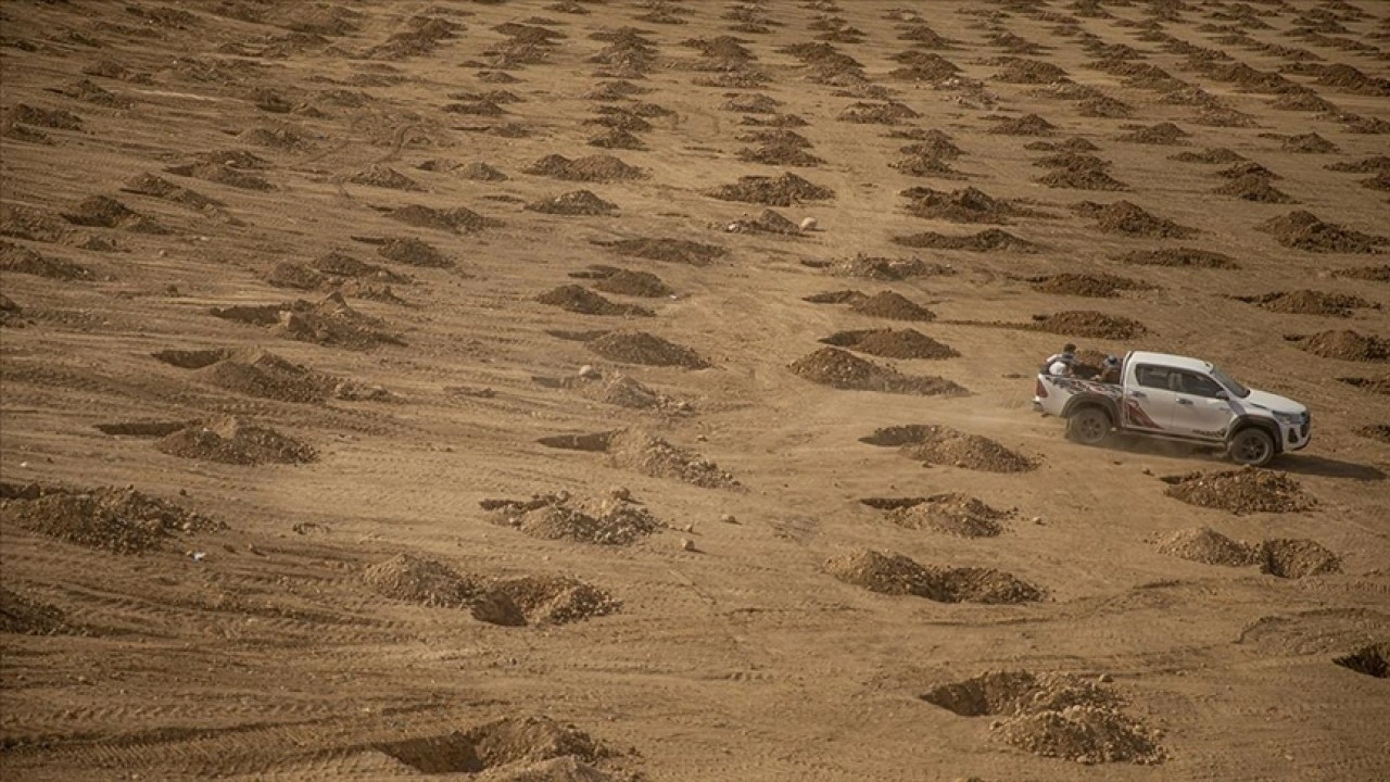 Erbil, "yeşil kuşak" projesiyle 7 milyon ağaçla çevrelenecek