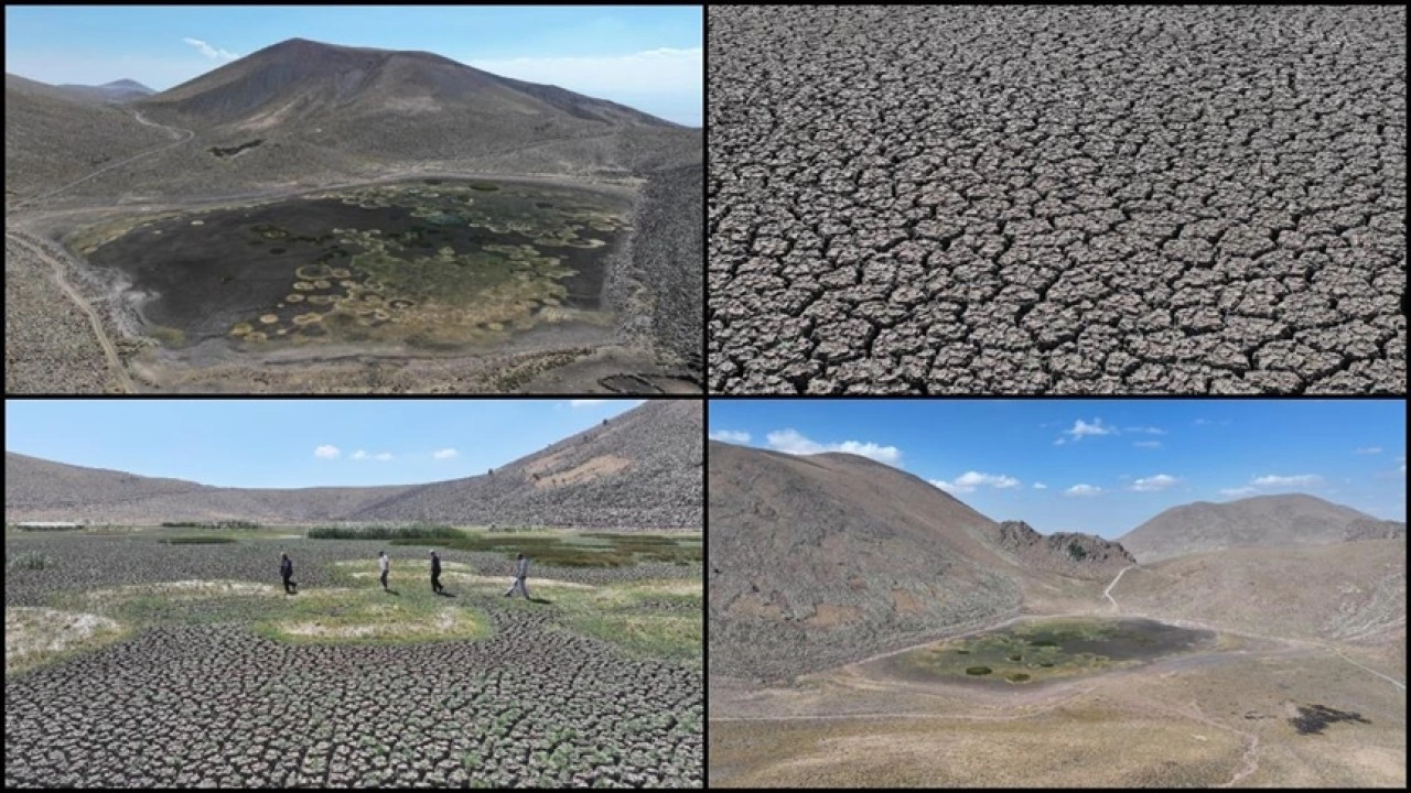 Erciyes'in eteklerinde yılkı atları, kuşlar ve koyunlara hayat veren Sarıgöl kurudu
