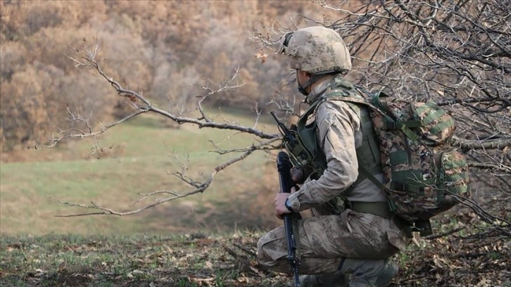 Eren operasyonunda etkisiz hale getirilen PKK'lı teröristin gri kategoride arandığı belirlendi